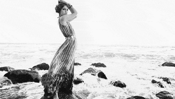 문장의 아포리즘Ⅱ