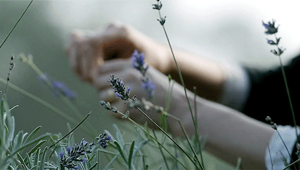 누가 누구를 신었는가