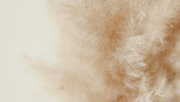 40화. 글과 장면들