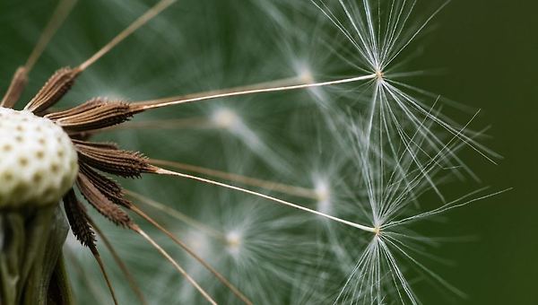 소프트웨어 버튼 사용하기