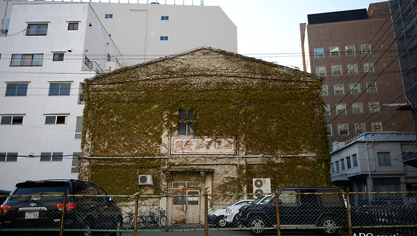 표피로서의 시간