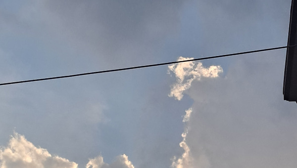 8월에는 하마구치 류스케