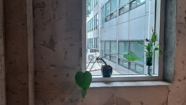 왜 우리는 공간을 탐닉하는가