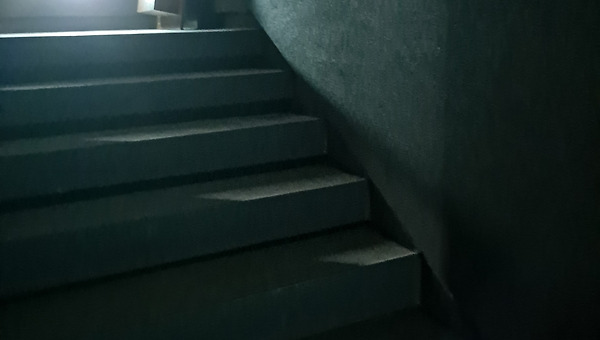 모르는 곳에는 구르는 꽃이 있다네