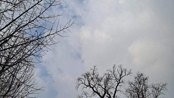 마지막으로 보이는 건 온통 처음