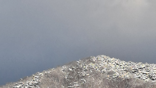 실망스럽지 않은 헤매임