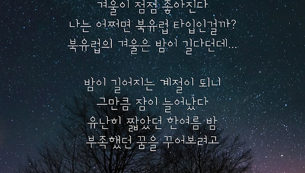 한겨울 밤의 꿈