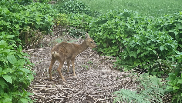우리는 자연의 이치에 맞게 살고 있는가?