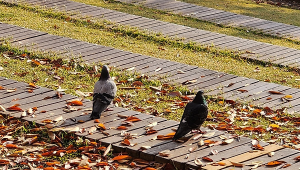 배우자 관심사에 귀 기울일 때 생기는 4가지 변화