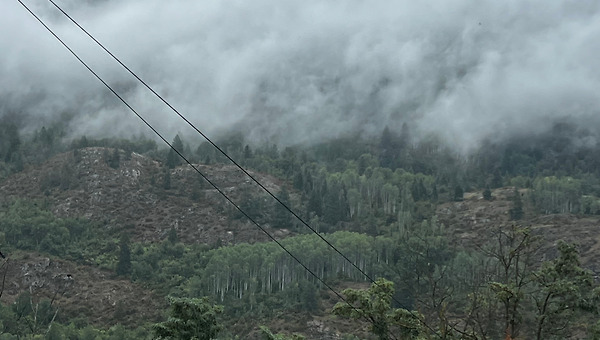 망각 덕분에 매일 새로운 로스쿨 변호사의 영업
