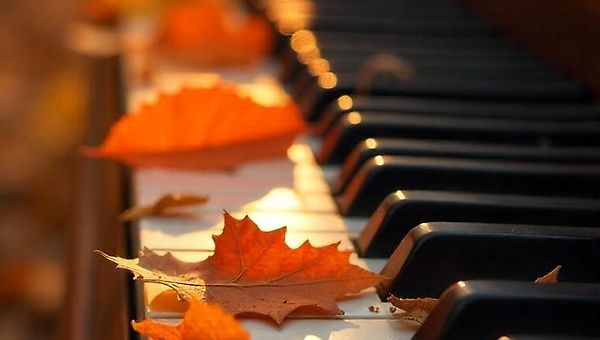 조성진 쇼팽 발라드 No.4, Op.52