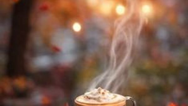 [시의 질서와 자리 찾기]