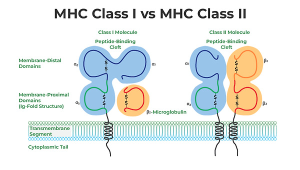 21세기 첨단의료 3부 7장 1화