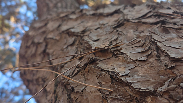 오래 남는 것에 대하여