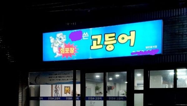 제주도가 내게 준 선물 5-1. 맛집 이상의 "멋집"