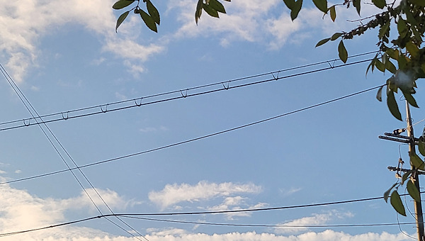 말하지 않으면 모른다