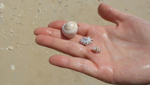 잃고 나니 비로소 보인 것들