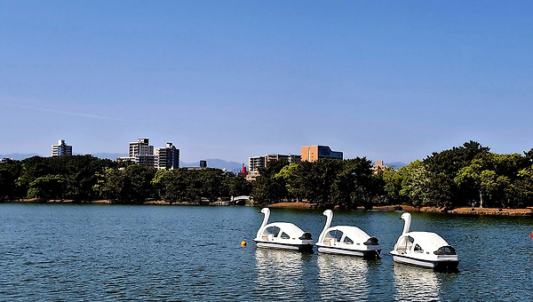 삶의 시간은 명료하게 안 흐른다