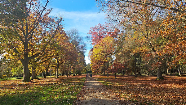 일본회사의 회계사입니다