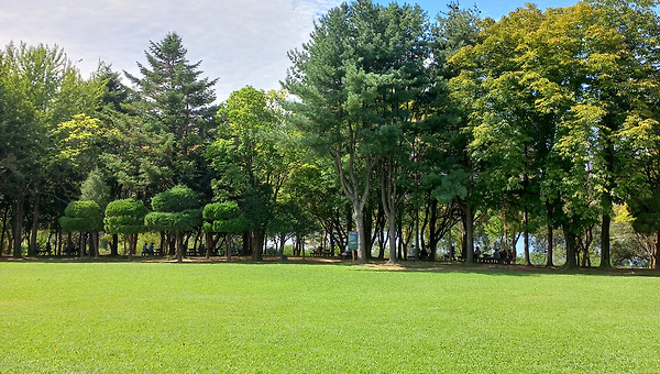 11화 _ 나의 기도