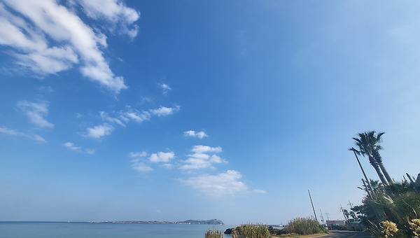 [은유의 힘]은 나아갈 방향을 보여준다