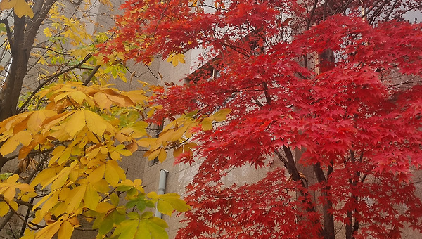 [서평]『‘우리’라는 신화의 폭력』(2)