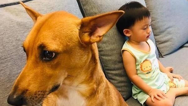 아, 바빠 죽겠는데 조직문화 그거 나중에 하면 안돼요?