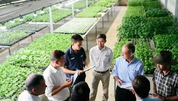 농업 생산자 조직화에 대한 현실적 성찰