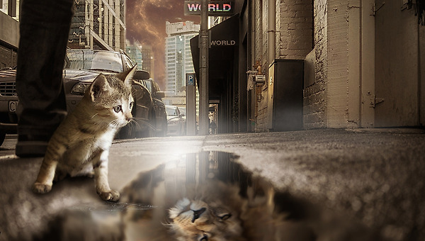 [성공한 사람의 실패에 주목하지 마라: 당신이 주목할 