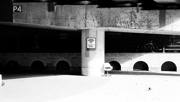 정제되지 못한 내 마음이 웃고 있다 