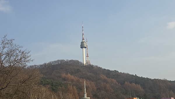 남산의 새 숲길