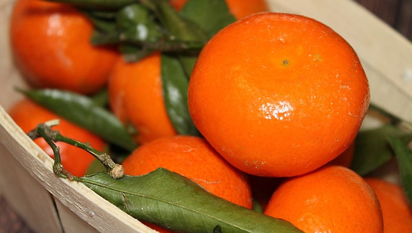 "니가 잘 대접해야 니도 그만큼 대접받는 기라!"