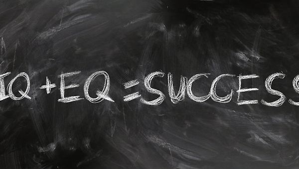 당신의 感나무를 키워라!