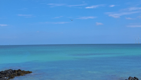 양자역학과 마음코칭의 만남