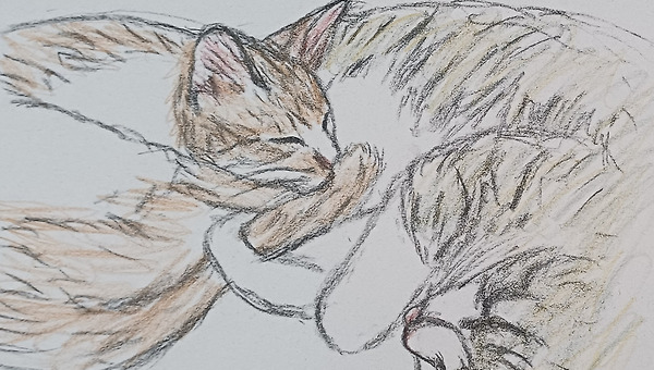 다 이유가 있었다