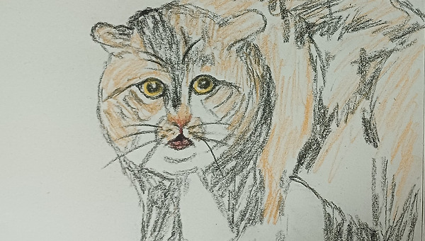 잔망스러운 하루