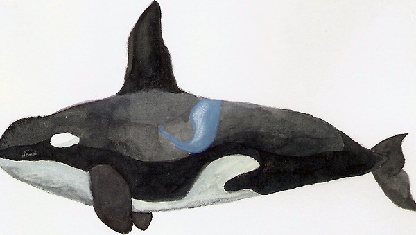 9. 성공만 하지는 말자 1-멋지게 살자.