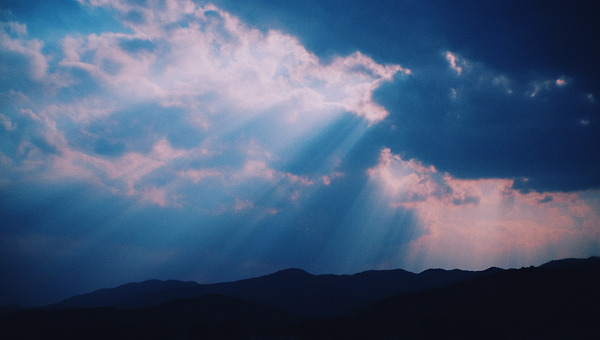 사랑은 그렇게도 잔인하다.