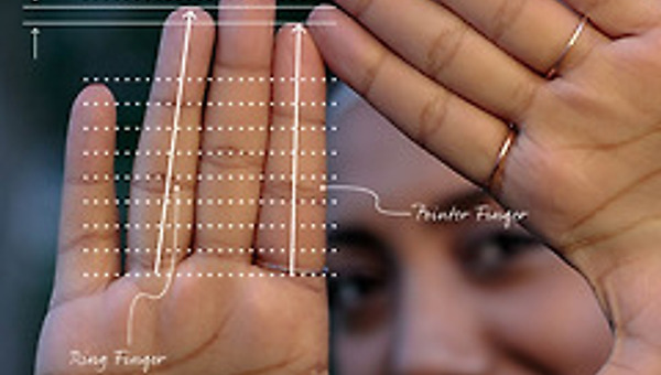 왼쪽 손가락의 길이로 알아보는 당신의 성격