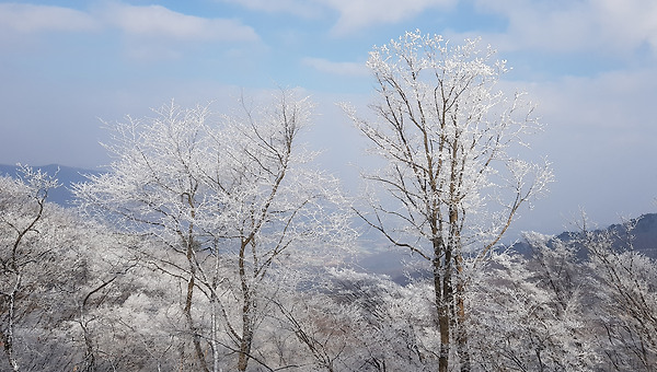 오늘 가족 중 누군가 갑자기 죽는다면