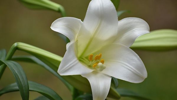 브런치 작가로 강연을 하는 사람이 되고 싶습니다.