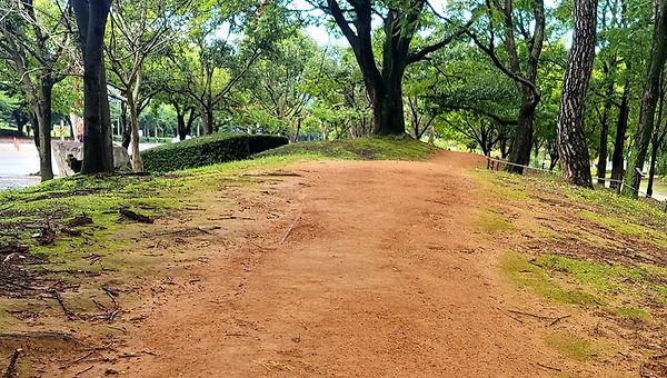16주 차, 용서할 수 없다고 느꼈던 사람