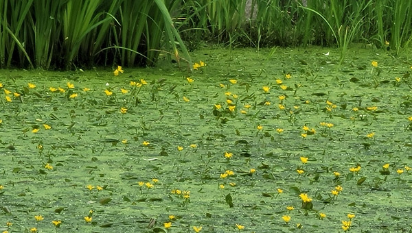 17주 차, 나를 지탱해 준 관계의 힘