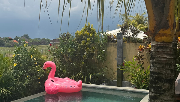 발리한달살기 다시 시작했습니다.