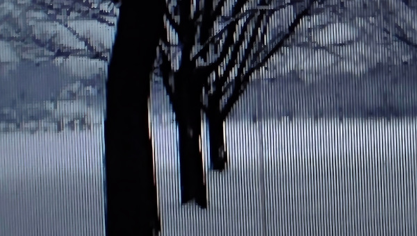 겨울산이 내게 들려준 말