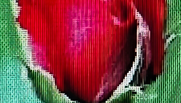 후회했던 삶을 뒤돌아보니