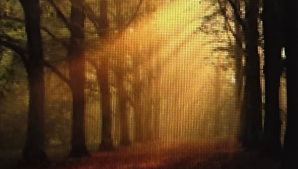 바람이 남긴 것들