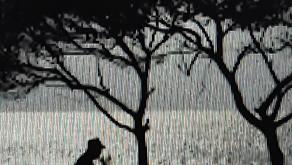 품위 있는 늙은이