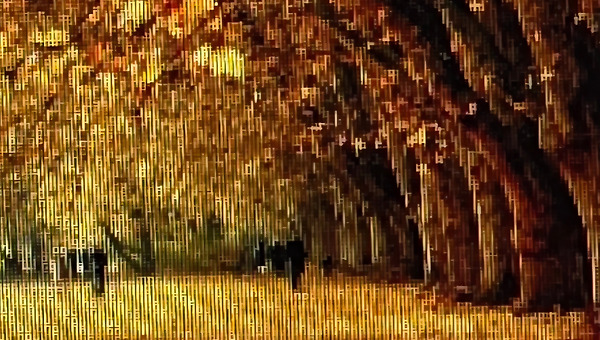 사랑은 한 번의 계절