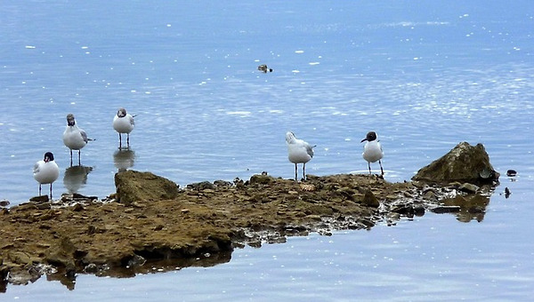 두부가 다쳤다.(1화)